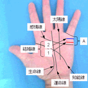 結婚線の見方