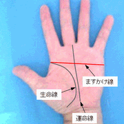 ますかけ線の見方