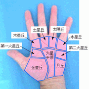 ほくろの見方