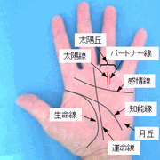 太陽線の見方