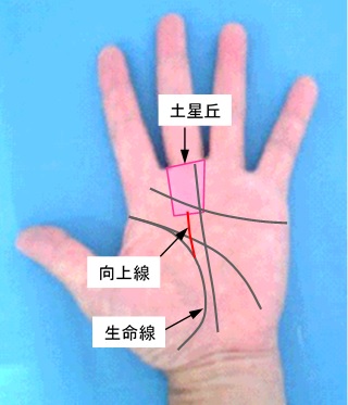 向上線の選択