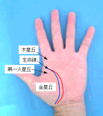 生命線 - 手相の見方