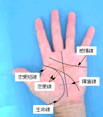 恋愛線が表す恋愛の見方