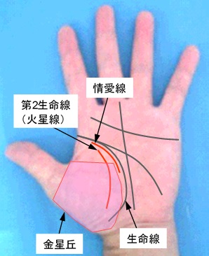 情愛線の状態の選択