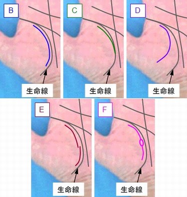 情愛線の状態の選択