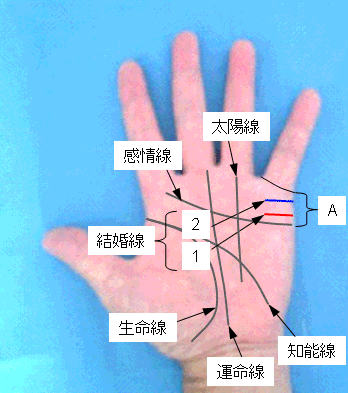 結婚線の濃淡・位置の見方