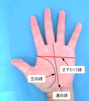 ますかけ線の見方