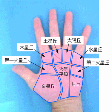 各掌丘の名称 - 手のひらの丘