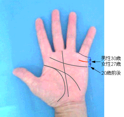 結婚線の流年法の見方