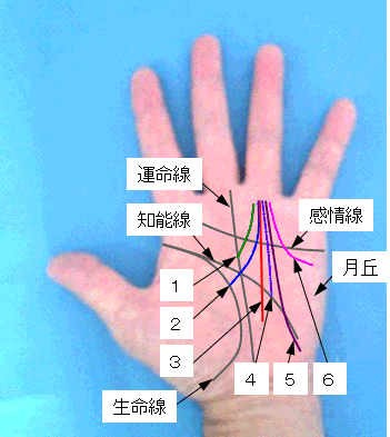 太陽線の起点の見方