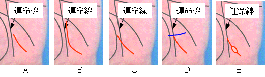 様々な影響線の見方