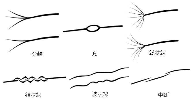 様々な感情線の種類